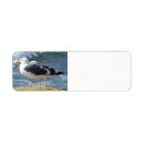 Search for two birds return address labels Photography