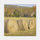 Search for bale magnets Barn