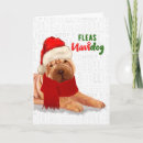Search for chinese christmas cards Pets