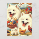 Search for samoyed dog postcards Dogs