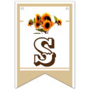 Search for sunflower bunting flags Party