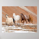 Search for herd posters Ranch