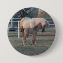 Search for ponys badges Colt