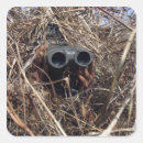 Search for observant stickers Environment