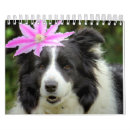 Search for original calendars Fun