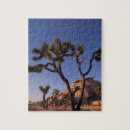 Search for joshua tree puzzles Outdoors