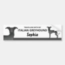 Search for italian greyhound bumper stickers Cute