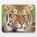 Search for tiger face mouse mats Wildlife