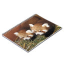 Search for red panda notebooks Himalayas