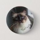 Search for features Cat