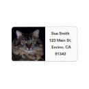 Search for maine coon return address labels Pets