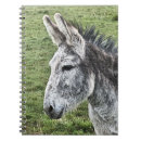 Search for donkey notebooks Cute