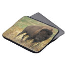 Search for dangerous animals electronics Brown