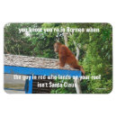 Search for premium christmas cards Santa