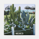Search for cacti magnets Mexico