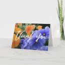 Search for pansy cards Photography