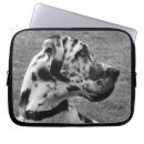 Search for great dane electronics Black and white