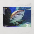 Search for shark postcards Diving