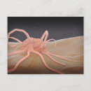 Search for rendering postcards Horizontal