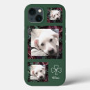 Search for cute shamrock iphone cases Irish