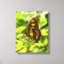 Search for colourful animal canvas prints Wildlife