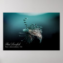 Search for venom posters Lionfish