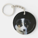 Search for old photograph key rings Puppy
