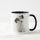 Search for stare mugs Nature