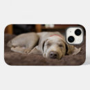 Search for weimaraner iphone cases Animal