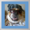 Search for funny english posters Bulldog