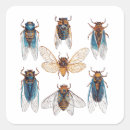 Search for cicada stickers Funny