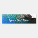 Search for feathers bumper stickers Peacock