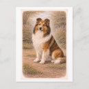 Search for collie cards invites Animal