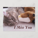 Search for mail horizontal postcards Cat
