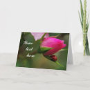 Search for ladybug pink cards Rose
