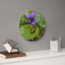 Search for ladybug clocks Ladybird