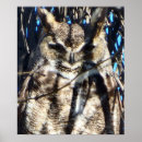 Search for owl posters Majestic