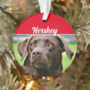 Search for chocolate lab christmas tree decorations Pets