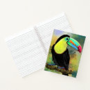 Search for exotic notebooks Beautiful