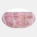 Search for awareness oval stickers Breast cancer awareness