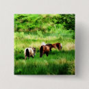 Search for horses badges Nature