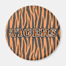 Search for tiger pattern magnets Tigers