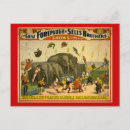 Search for circus elephant postcards Advertisement