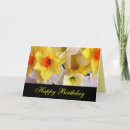 Search for daffodil cards March