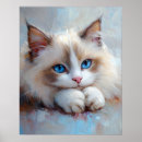 Search for ragdoll cat art Blue eyes
