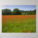 Search for cropland posters Europe