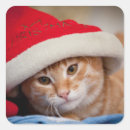 Search for christmas kitten stickers Photography