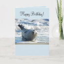 Search for seal cards Cute