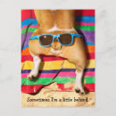 Search for beach dog invitations Animal