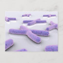 Search for acid postcards Microbiology